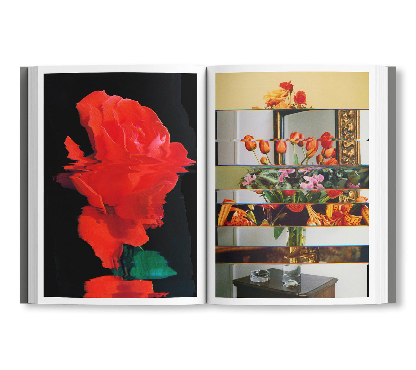 COLLAGES 2020-2022
