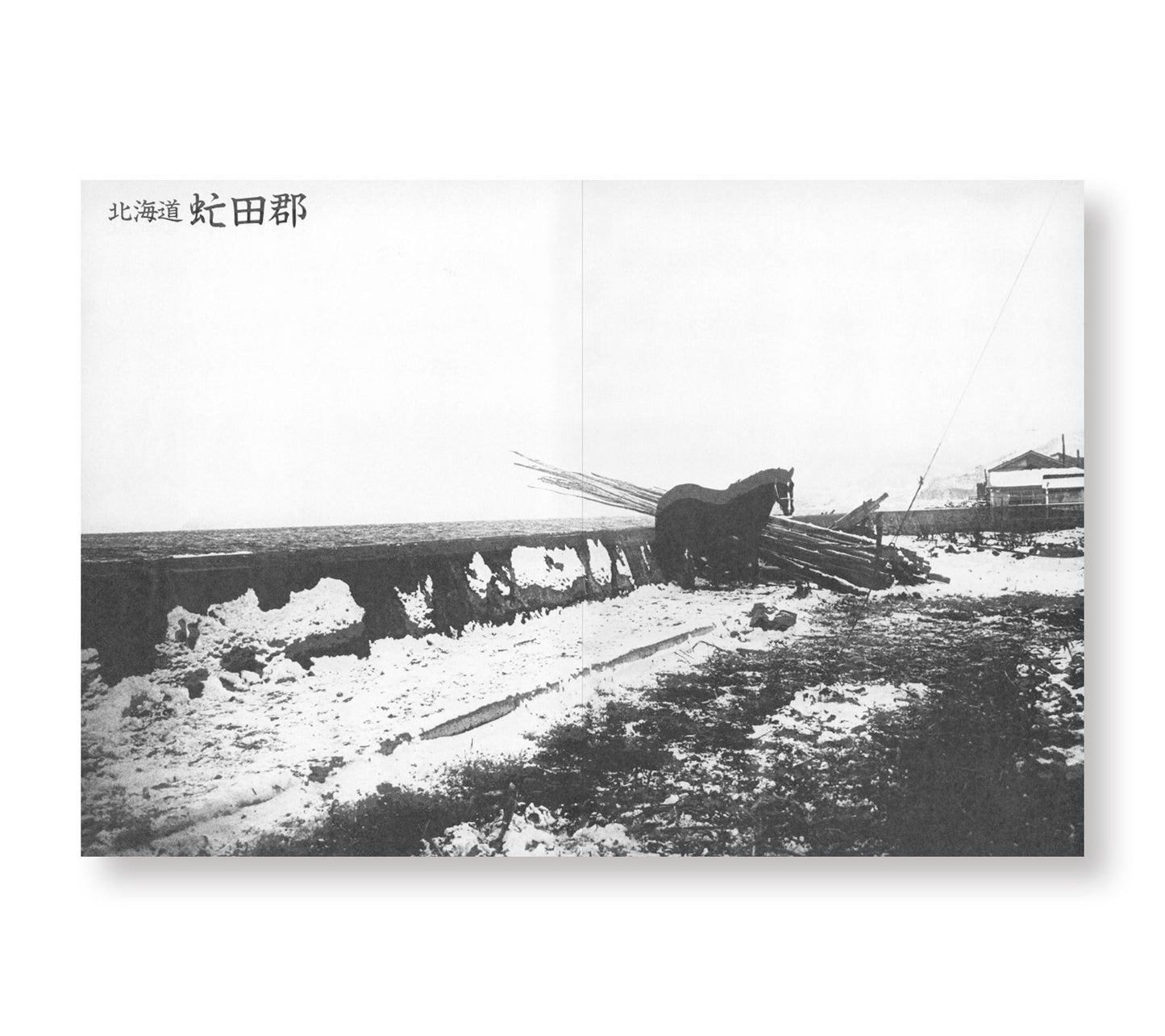 DAIDO MORIYAMA SHASHIN JIDAI 1981–1988