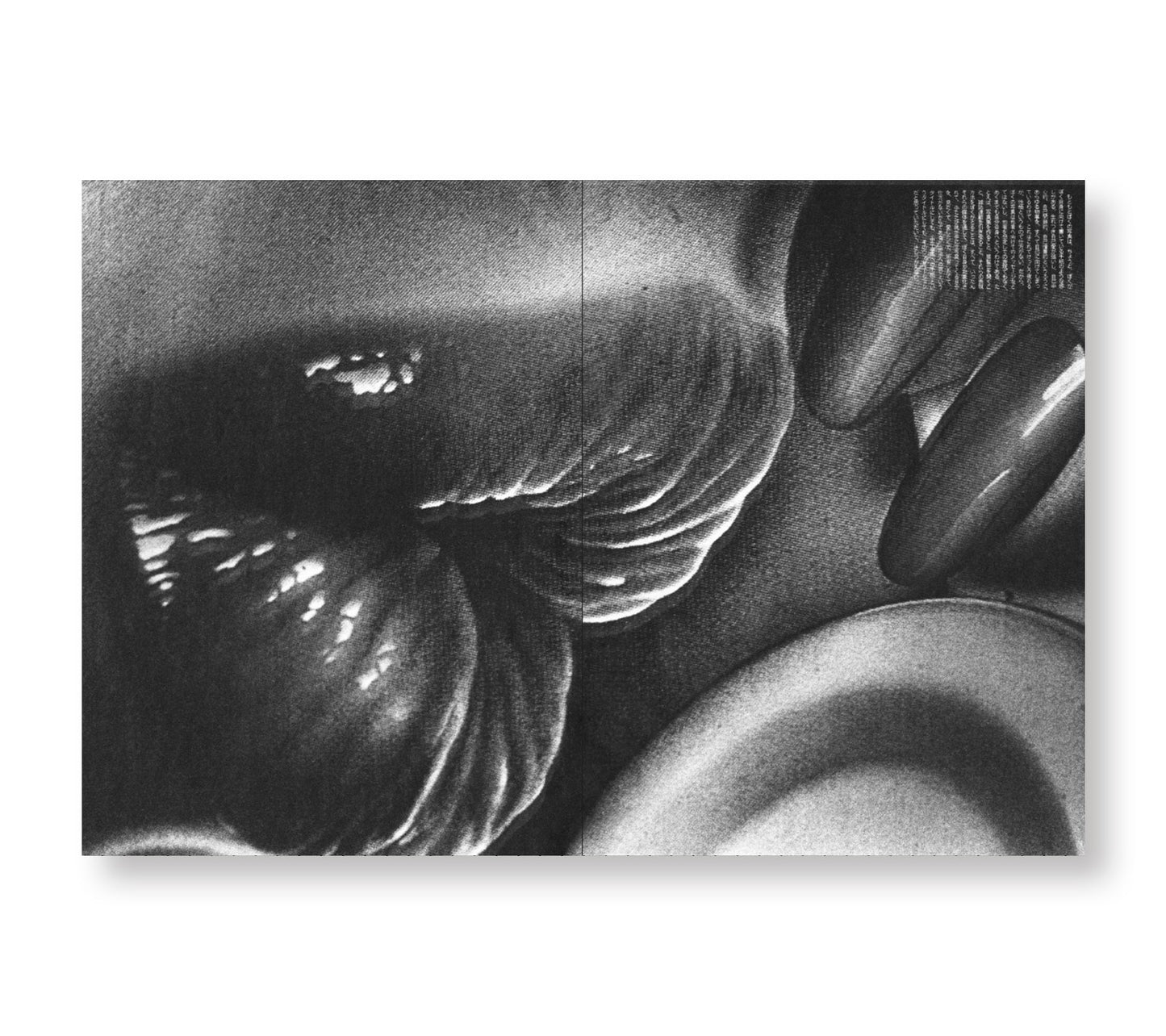DAIDO MORIYAMA SHASHIN JIDAI 1981–1988
