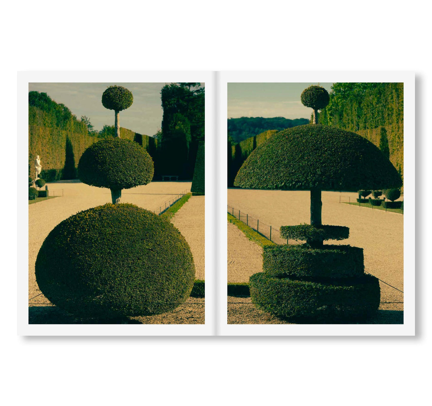 DISTANCES VOL.II