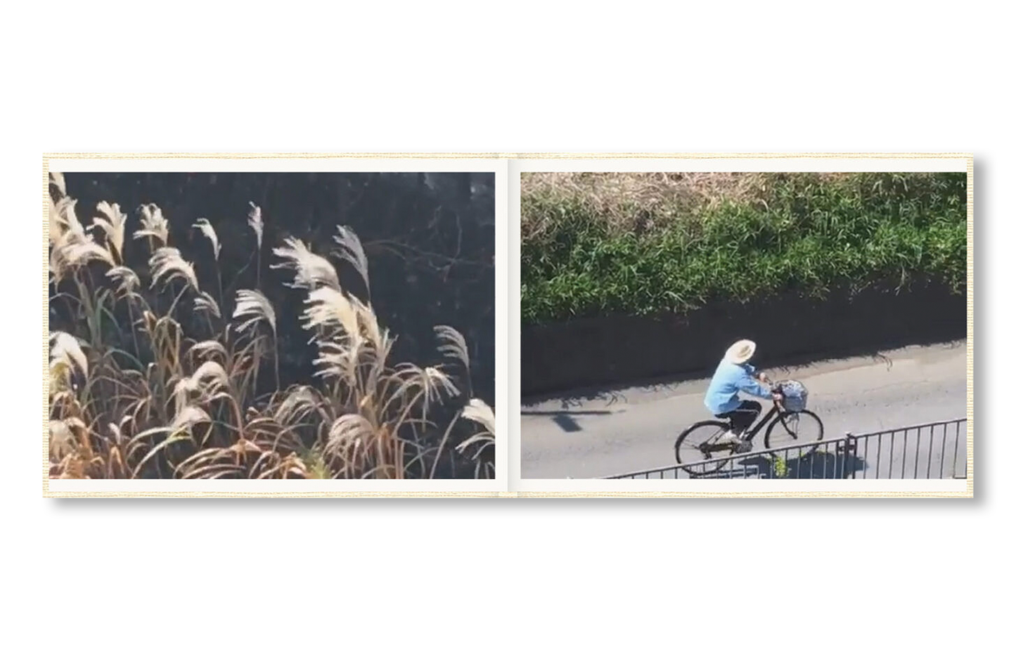 SCREENSHOTS FROM A SERIES OF VIDEOS ABOUT A RICE FIELD AND ITS SURROUNDINGS