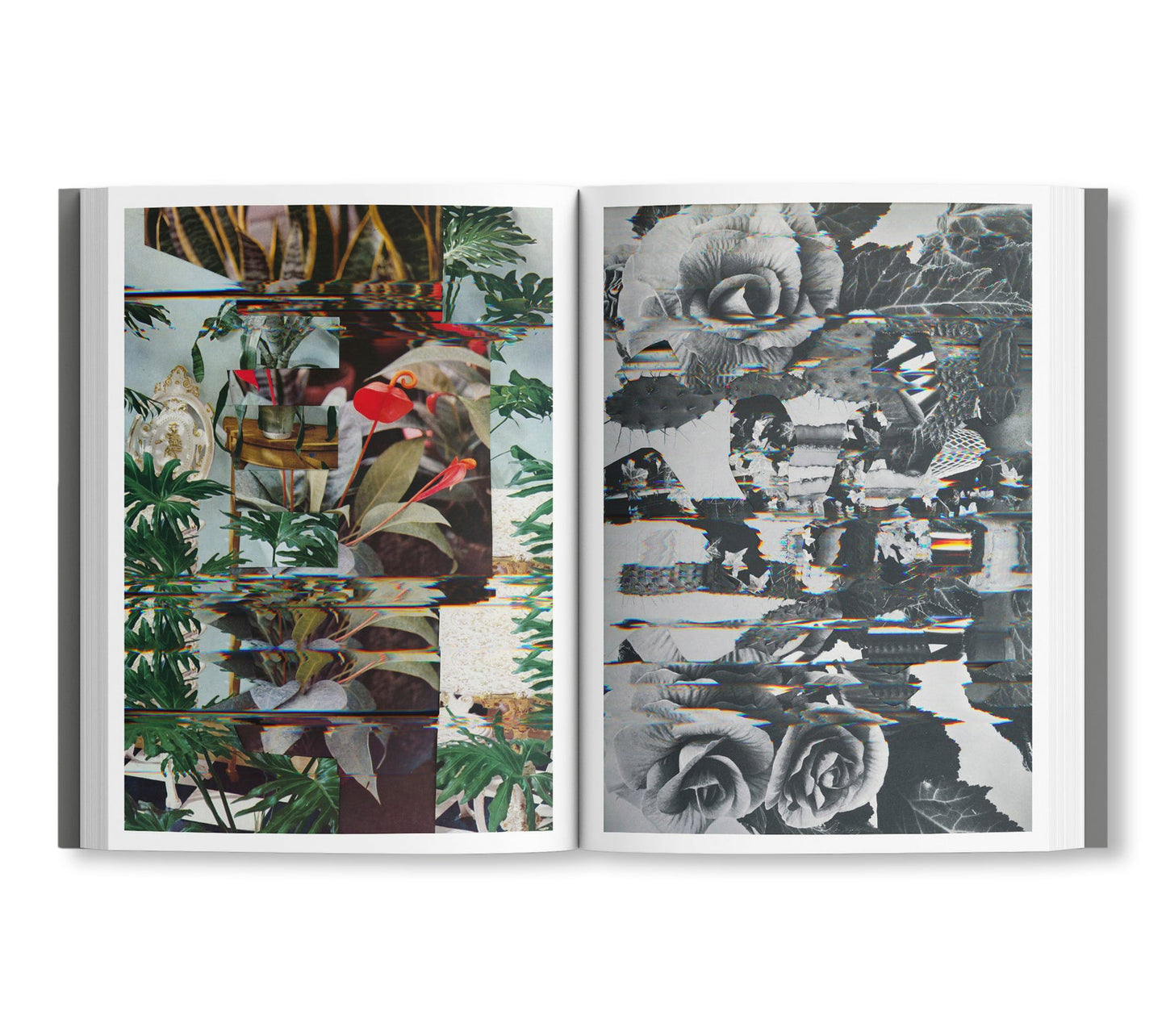 COLLAGES 2020-2022