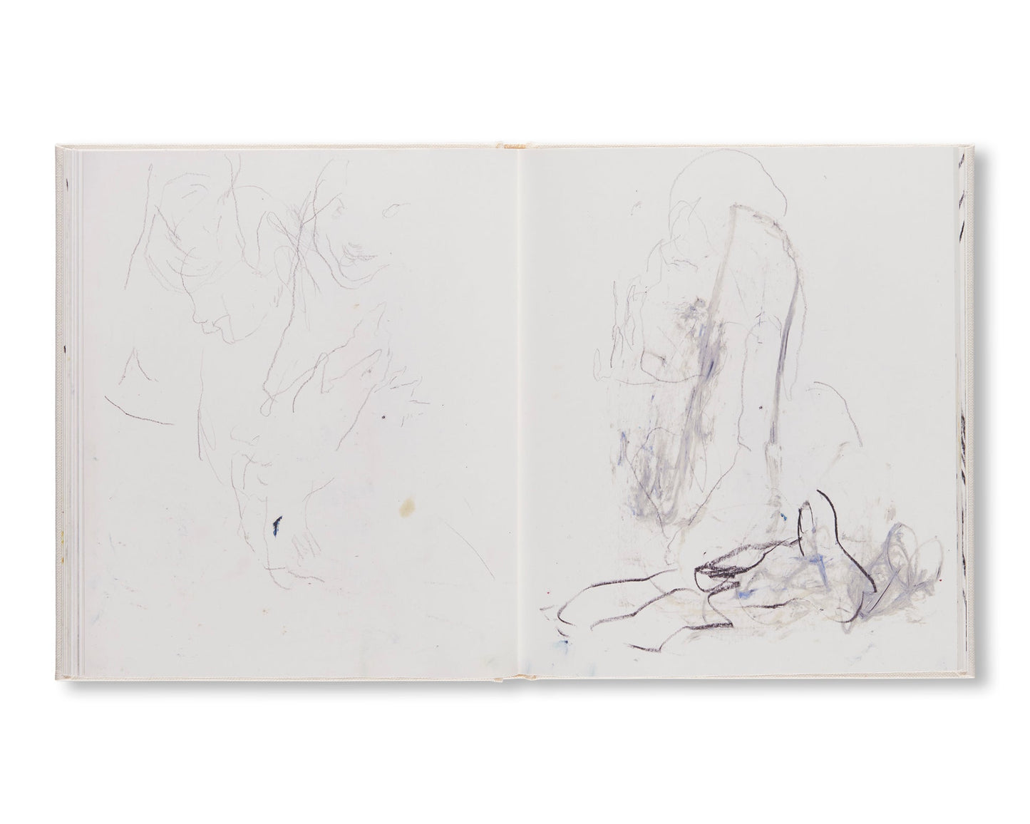 SKETCHBOOK II (A MIDSUMMER NIGHT'S DREAM)