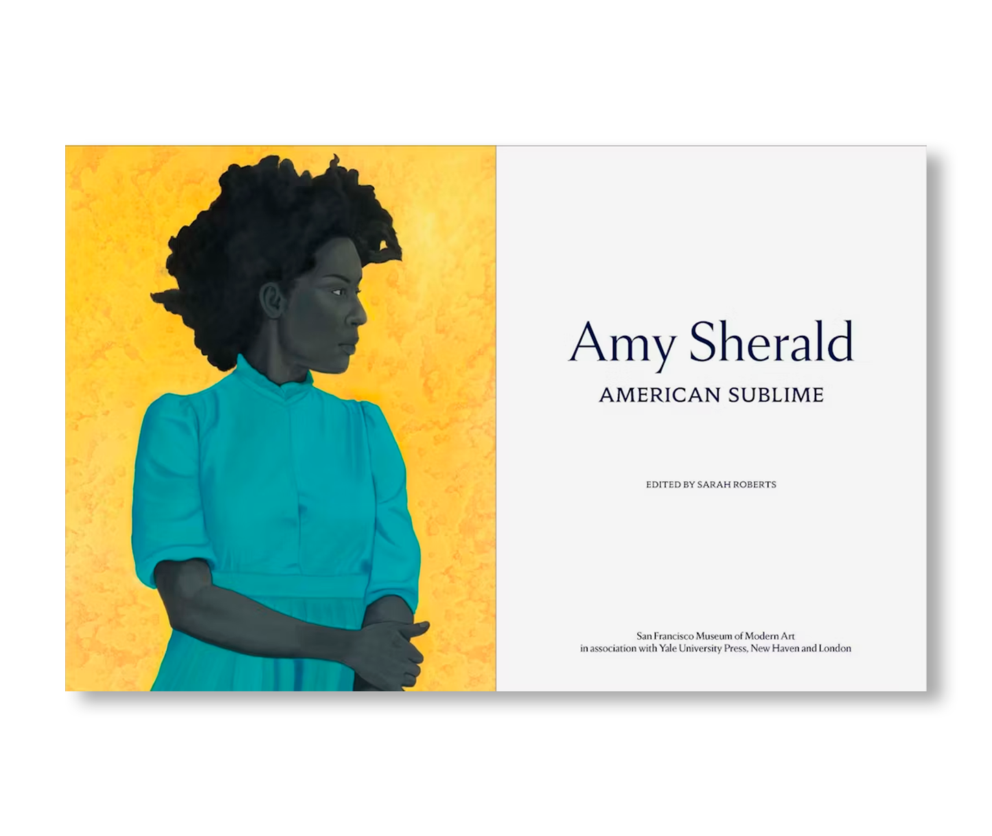 AMY SHERALD: AMERICAN SUBLIME