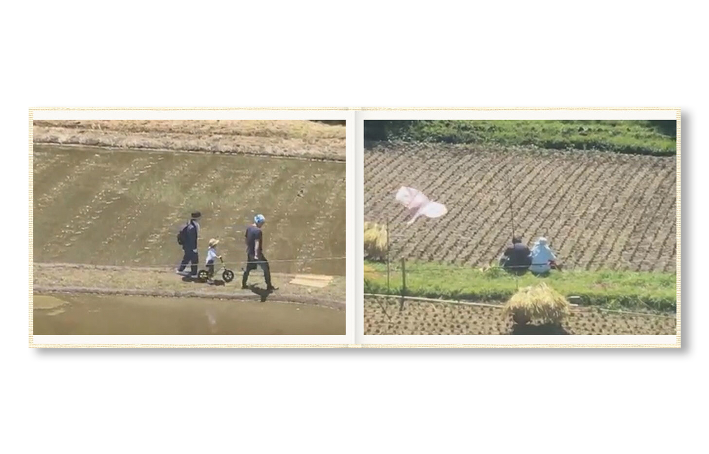 SCREENSHOTS FROM A SERIES OF VIDEOS ABOUT A RICE FIELD AND ITS SURROUNDINGS