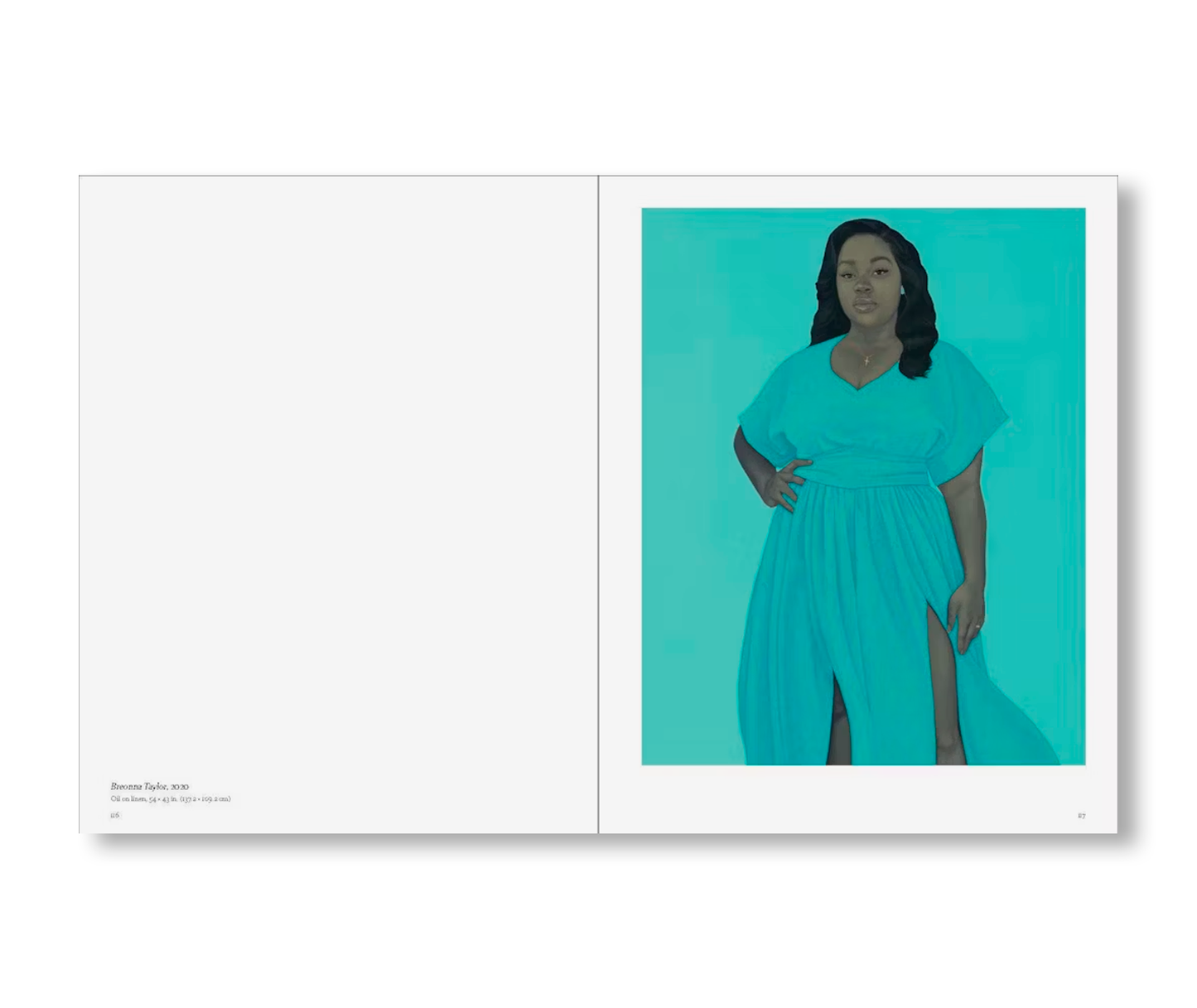 AMY SHERALD: AMERICAN SUBLIME