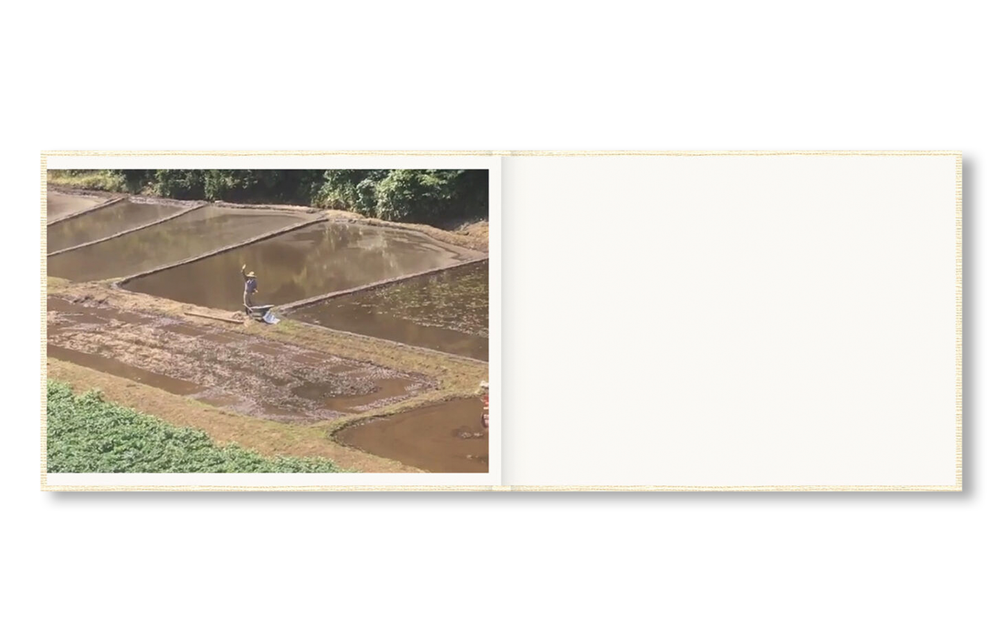 SCREENSHOTS FROM A SERIES OF VIDEOS ABOUT A RICE FIELD AND ITS SURROUNDINGS