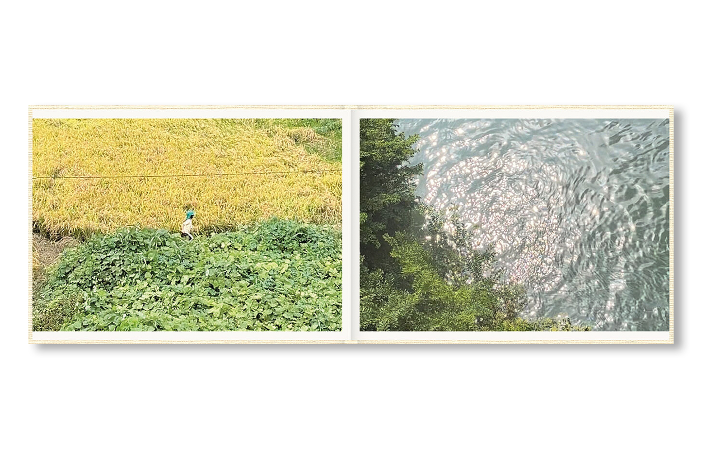 SCREENSHOTS FROM A SERIES OF VIDEOS ABOUT A RICE FIELD AND ITS SURROUNDINGS
