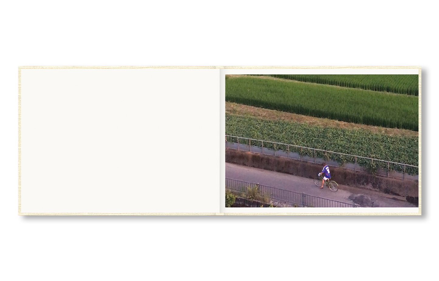 SCREENSHOTS FROM A SERIES OF VIDEOS ABOUT A RICE FIELD AND ITS SURROUNDINGS