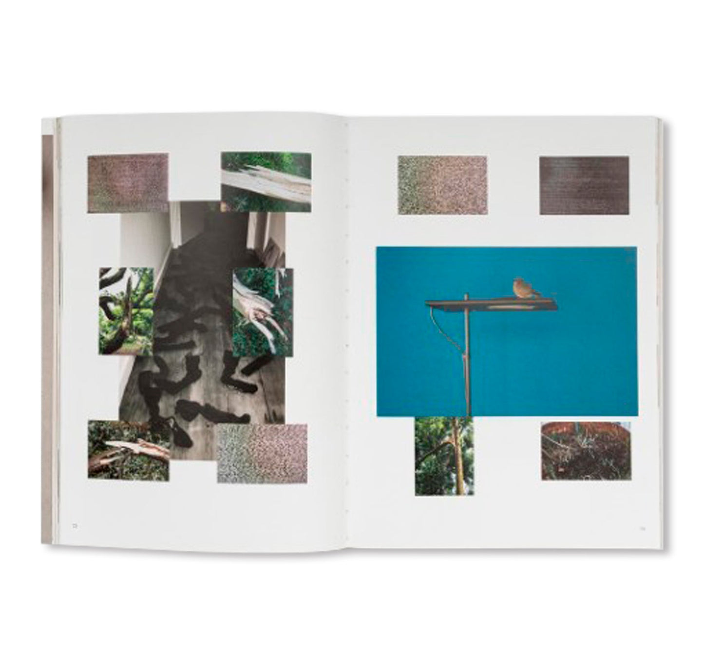 WOLFGANG TILLMANS: THINGS MATTER, DINGE ZÄHLEN