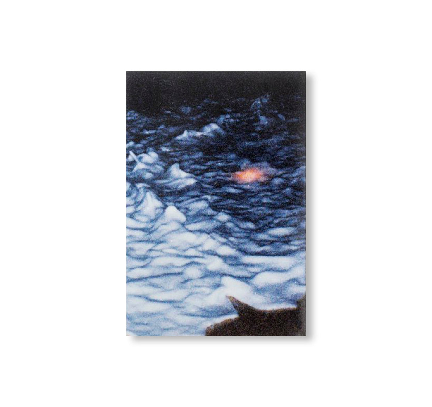 半枝浪 SKINNY WAVE