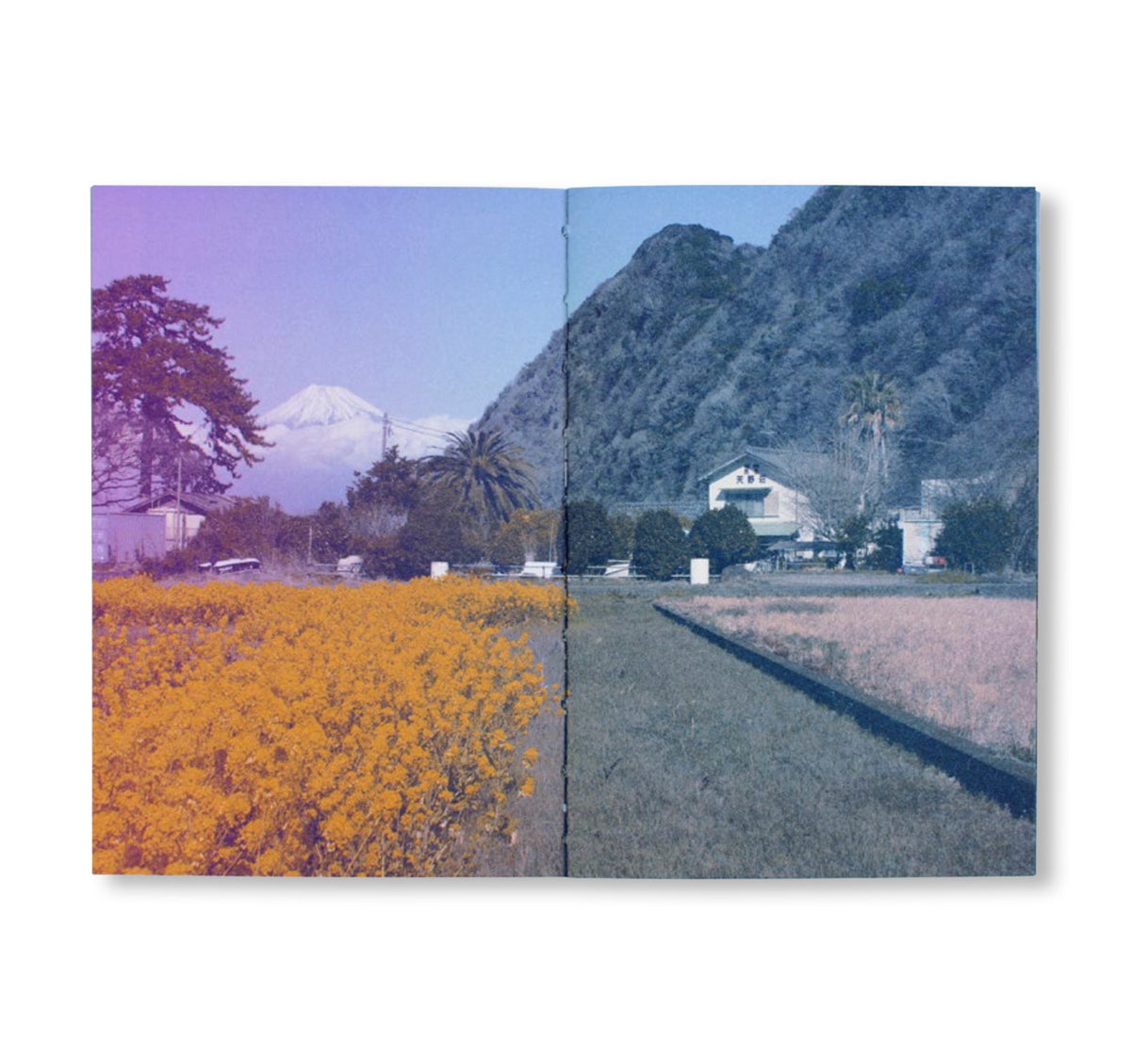 FUJI