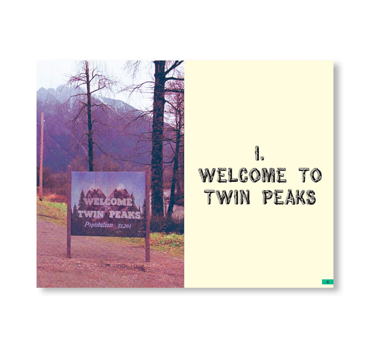 THE MYSTERIES OF TWIN PEAKS