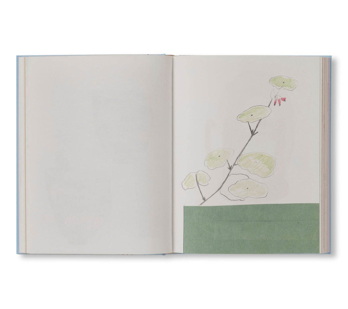 CARNETS