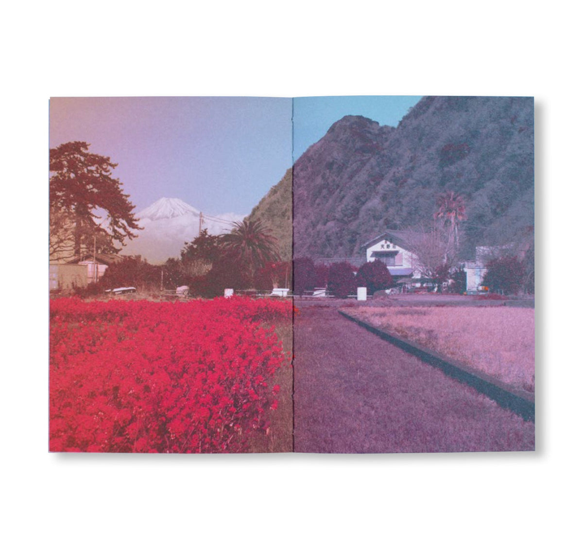 FUJI
