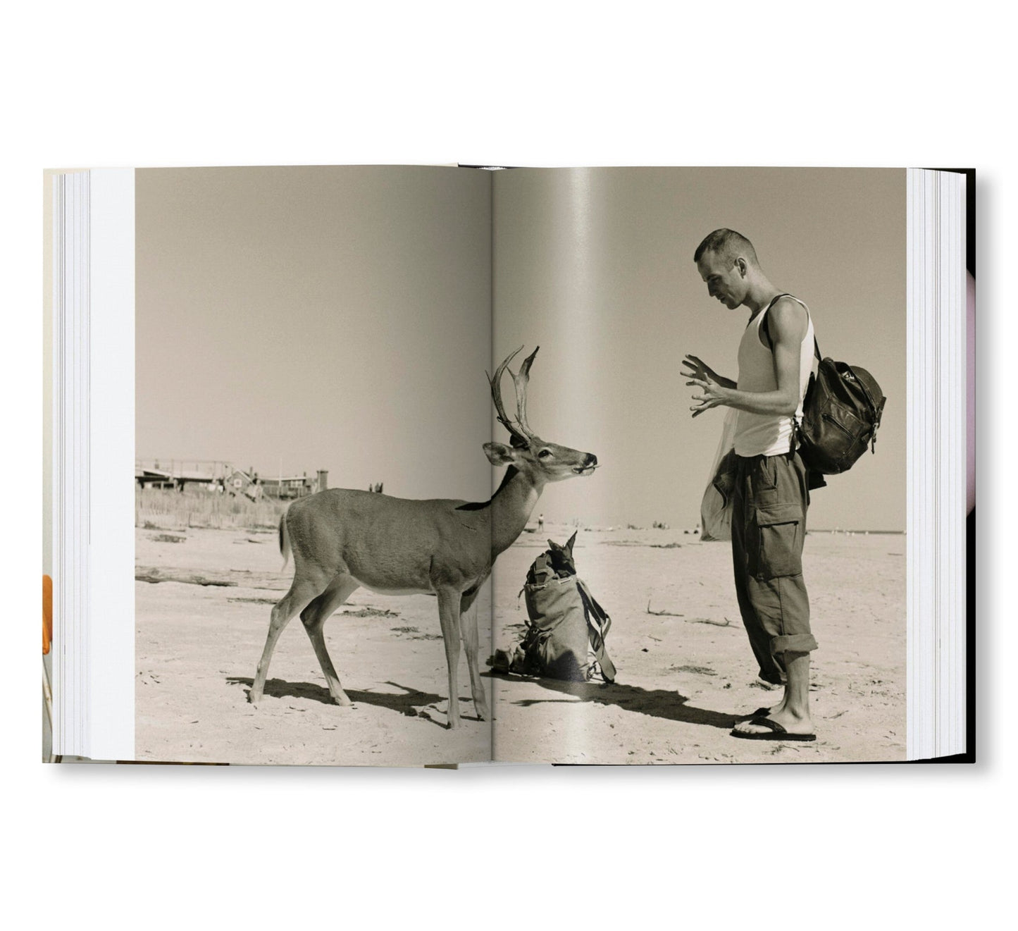 WOLFGANG TILLMANS FOUR BOOKS