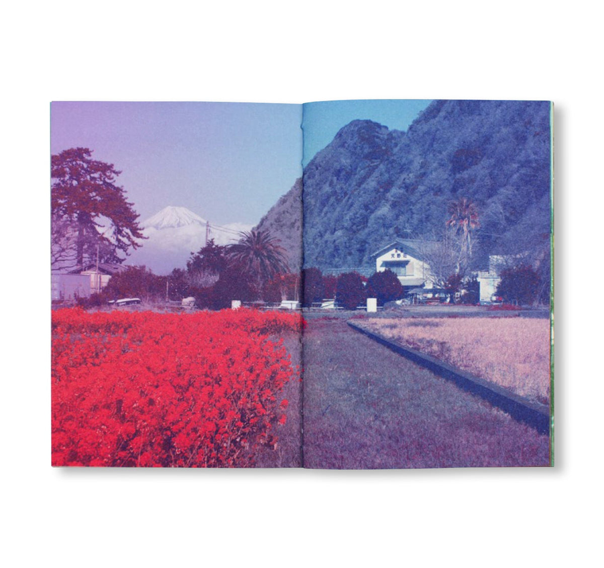 FUJI