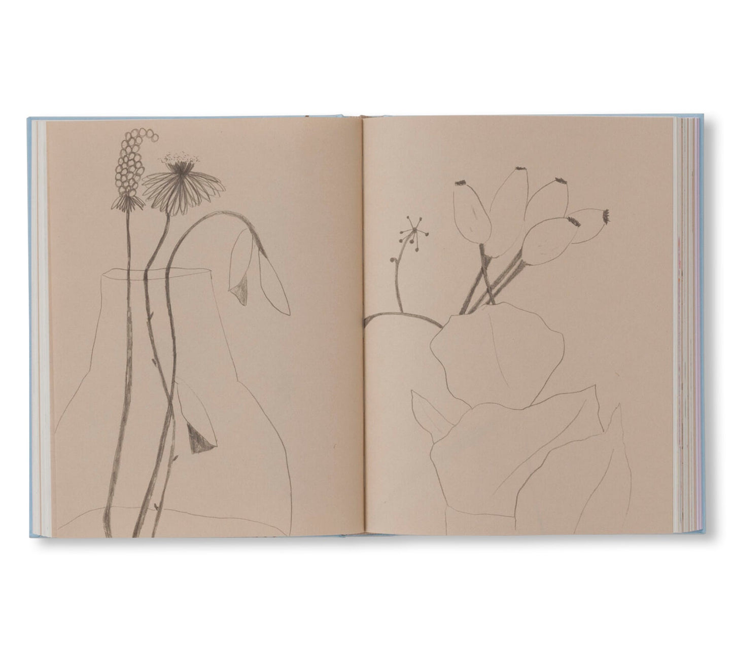 CARNETS