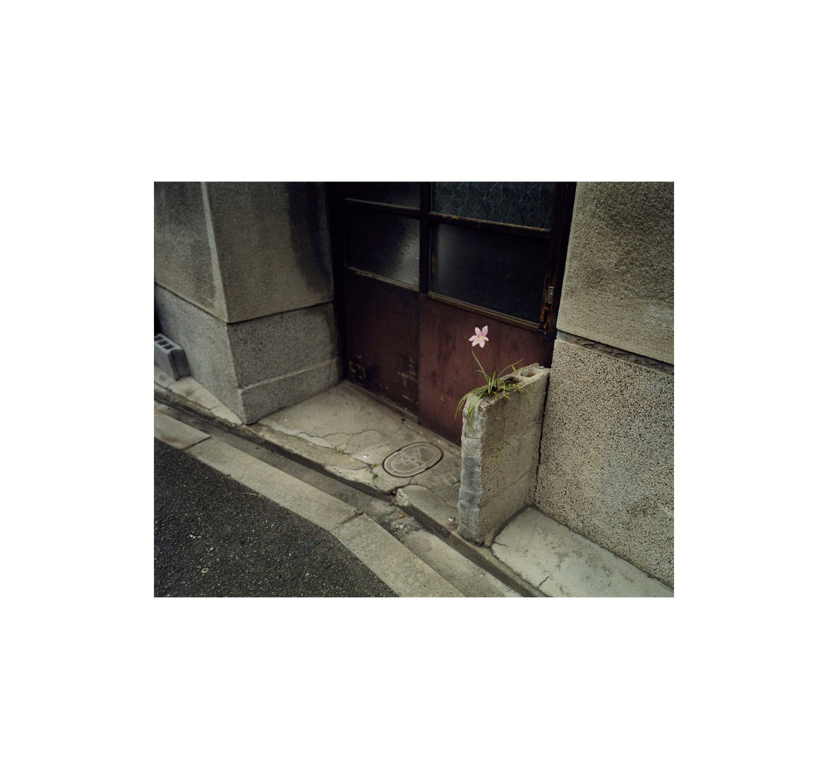 THE ARTIST’S ATLAS: TOKYO