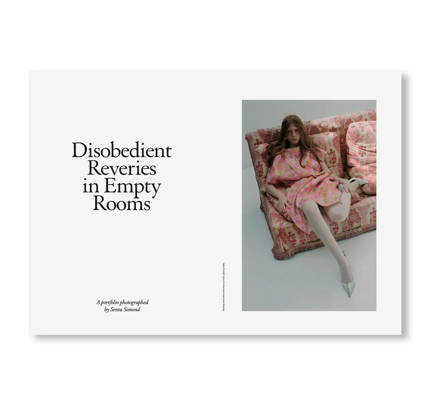 STUDY MAGAZINE VOLUME 12