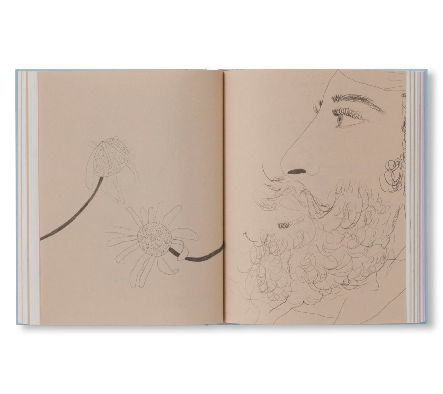 CARNETS