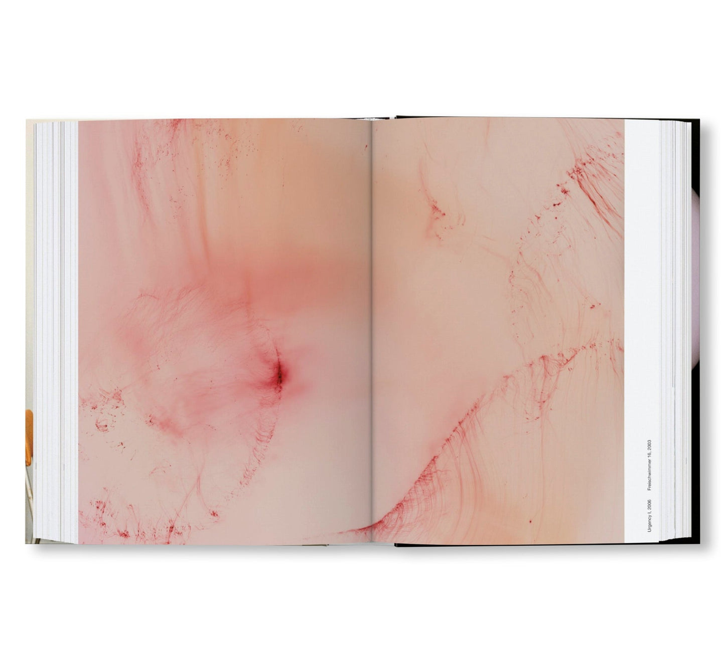 WOLFGANG TILLMANS FOUR BOOKS