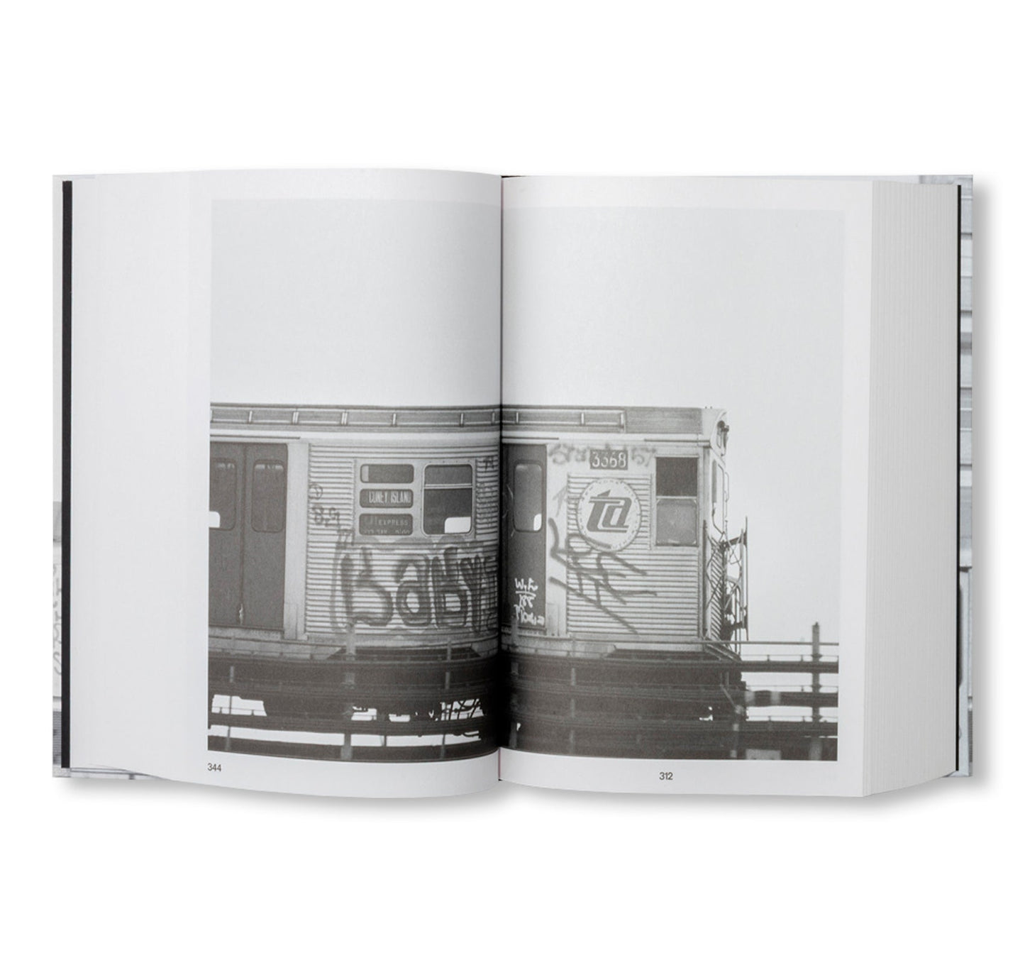 PASSING THROUGH MOVING IN AND GETTING AWAY WITH IT: GORDON MATTA-CLARK NEW YORK CITY GRAFFITI PHOTOGRAPHS, 1972–73 [SECOND PRINTING]