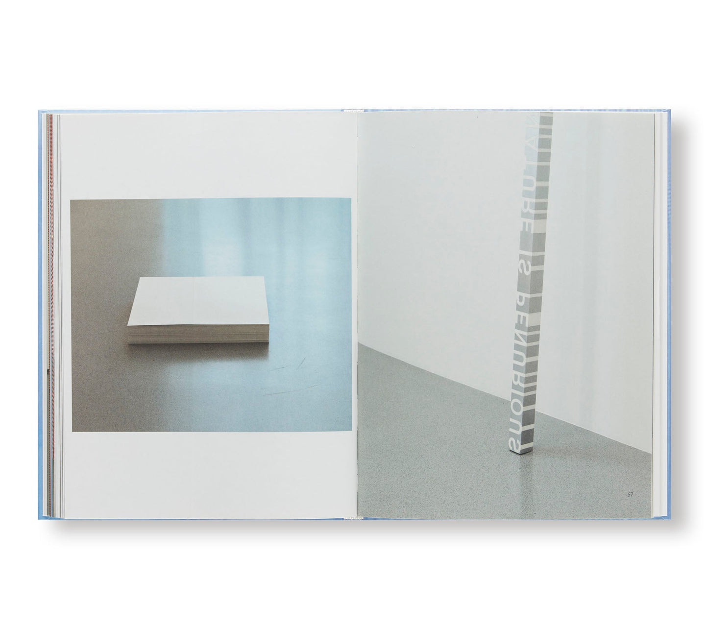 FELIX GONZALEZ-TORRES RONI HORN