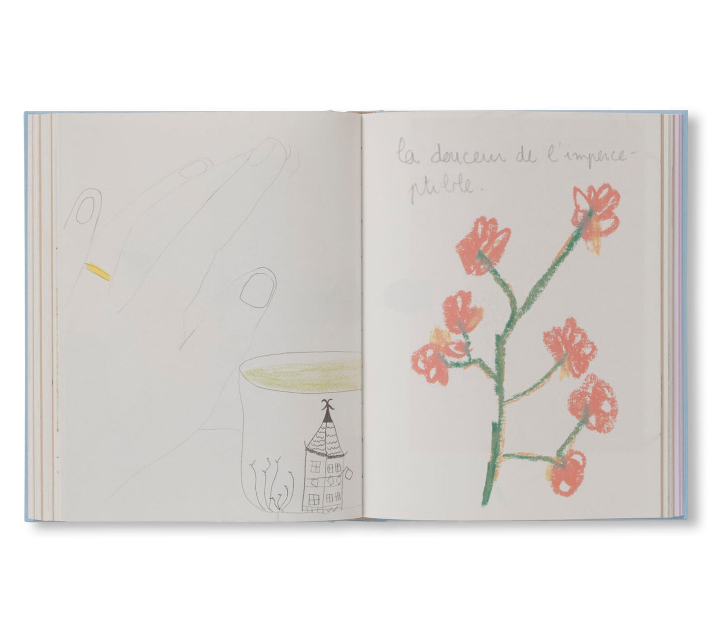 CARNETS