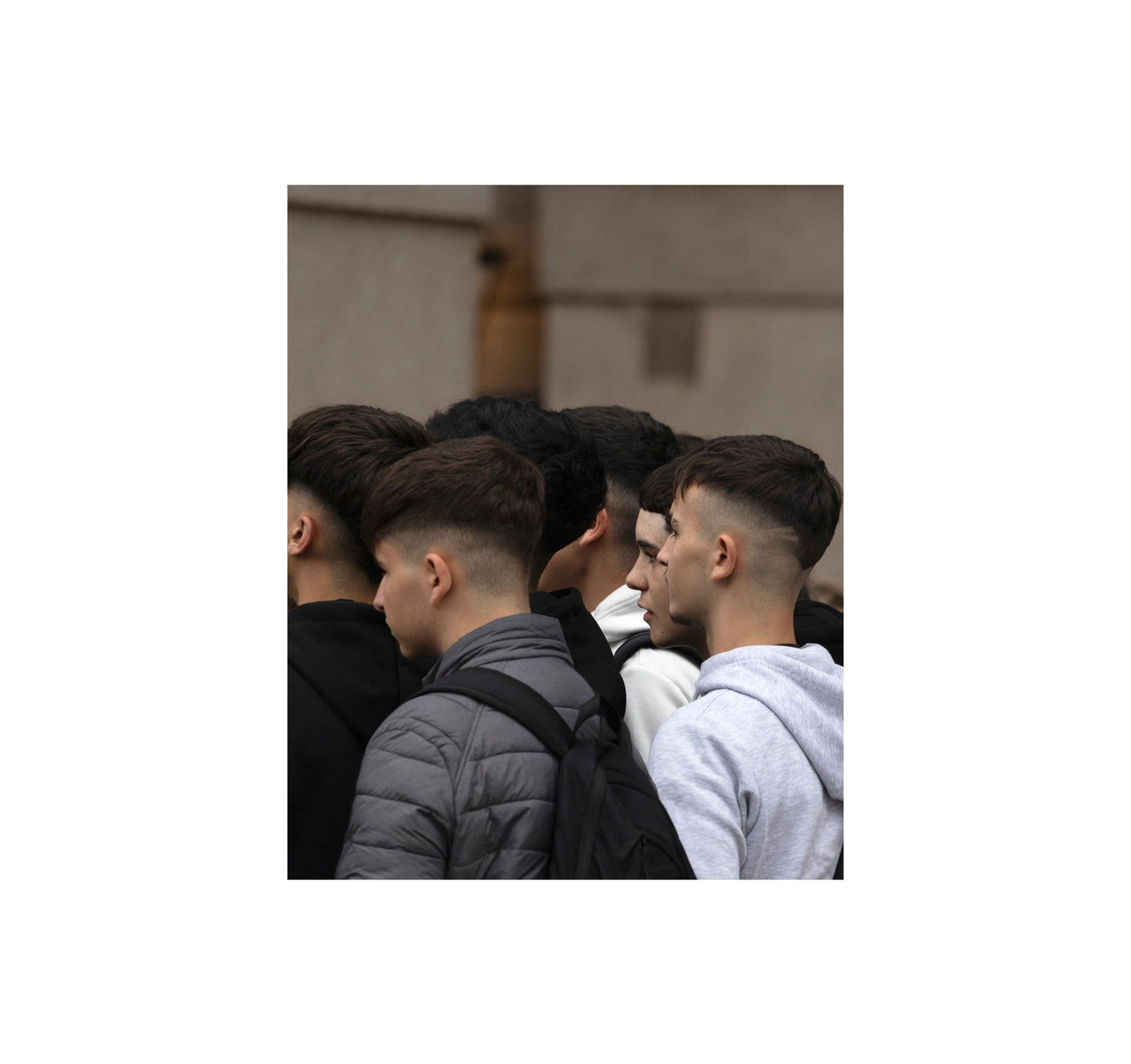 WOLVES