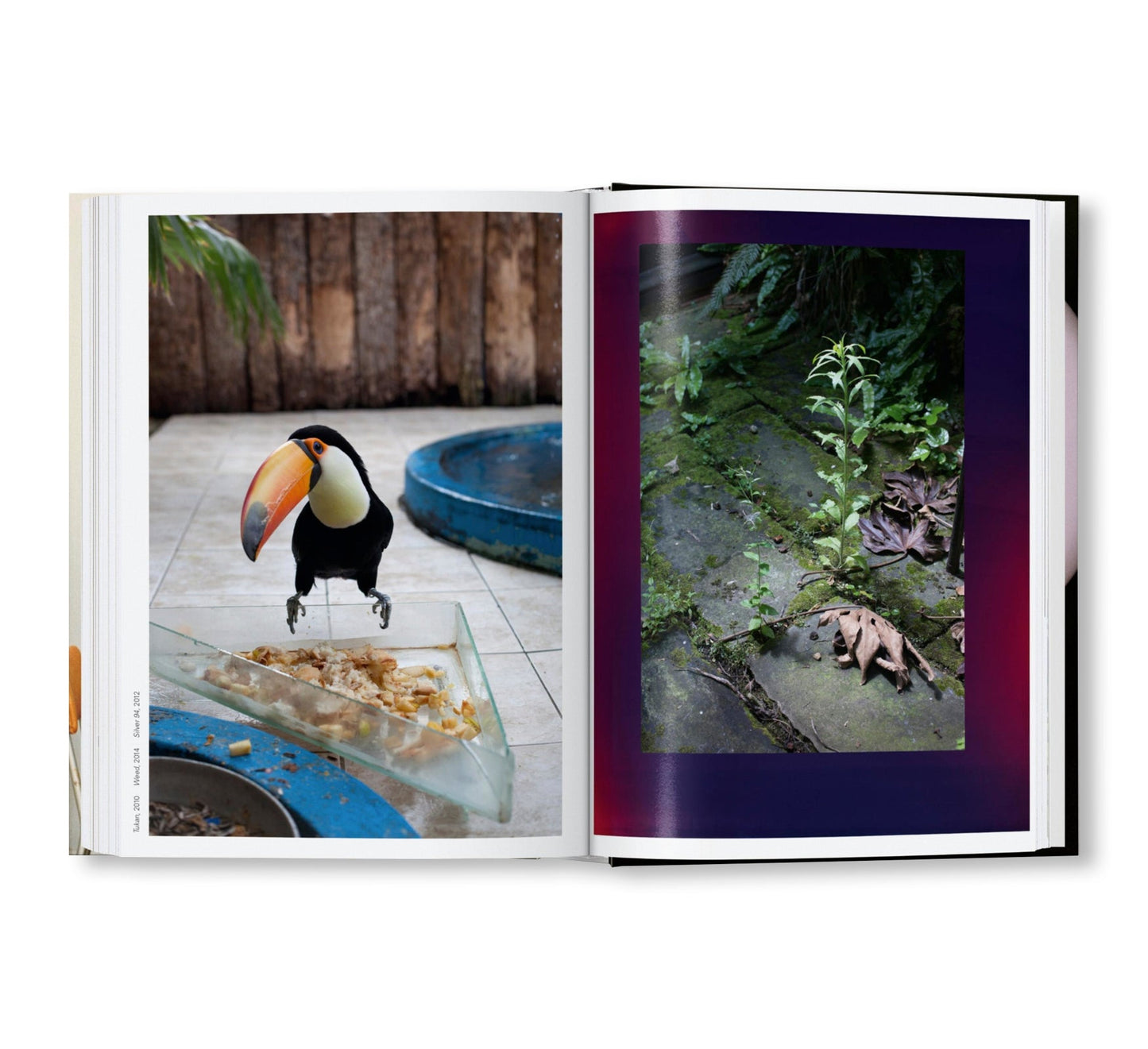 WOLFGANG TILLMANS FOUR BOOKS