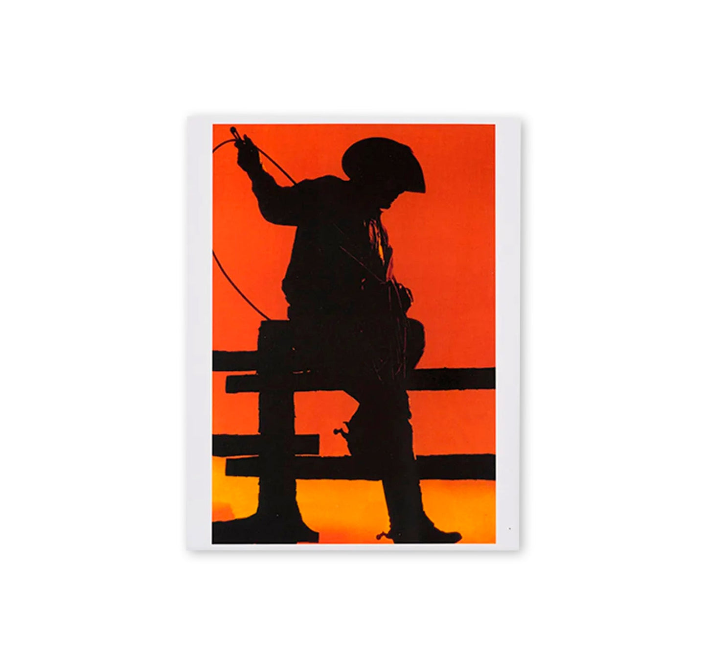 ARTHUR JAFA & RICHARD PRINCE: HELTER SKELTER