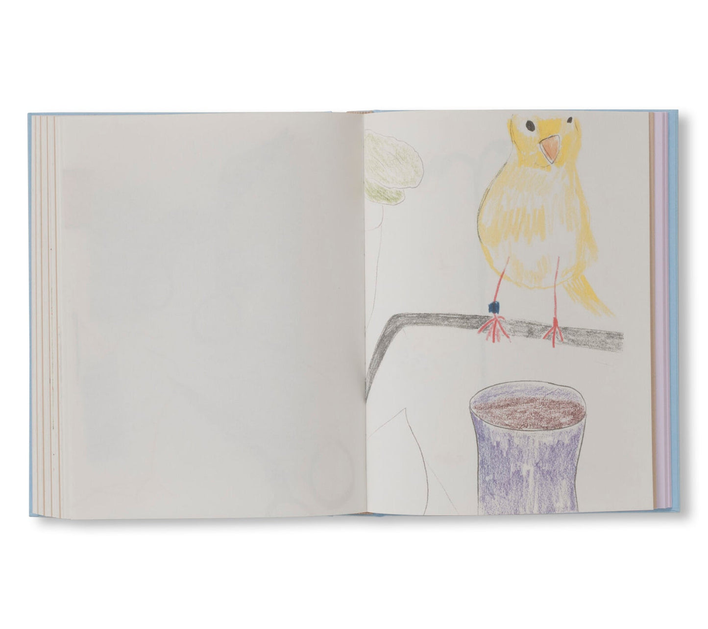 CARNETS