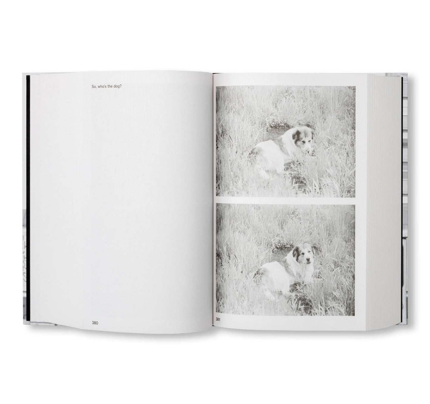 PASSING THROUGH MOVING IN AND GETTING AWAY WITH IT: GORDON MATTA-CLARK NEW YORK CITY GRAFFITI PHOTOGRAPHS, 1972–73 [SECOND PRINTING]