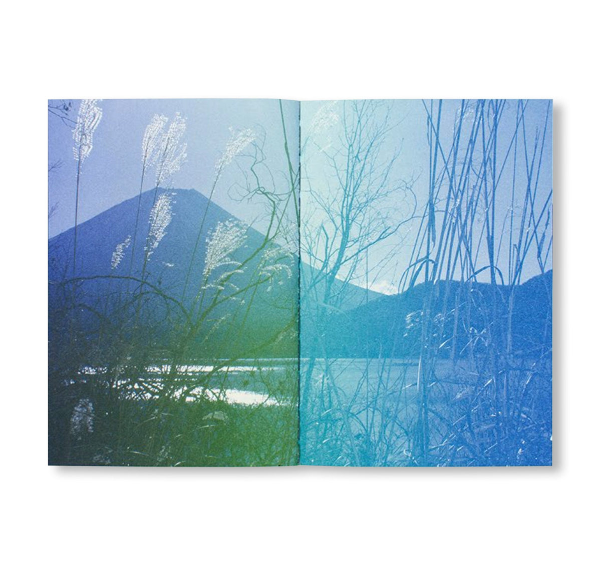 FUJI