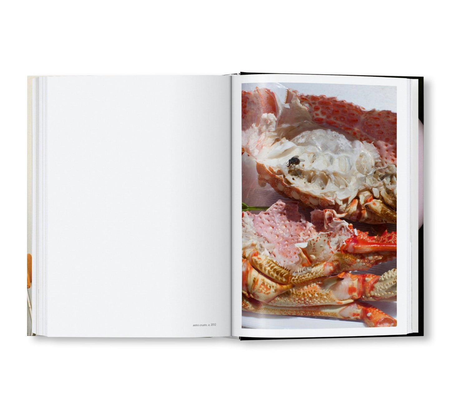 WOLFGANG TILLMANS FOUR BOOKS