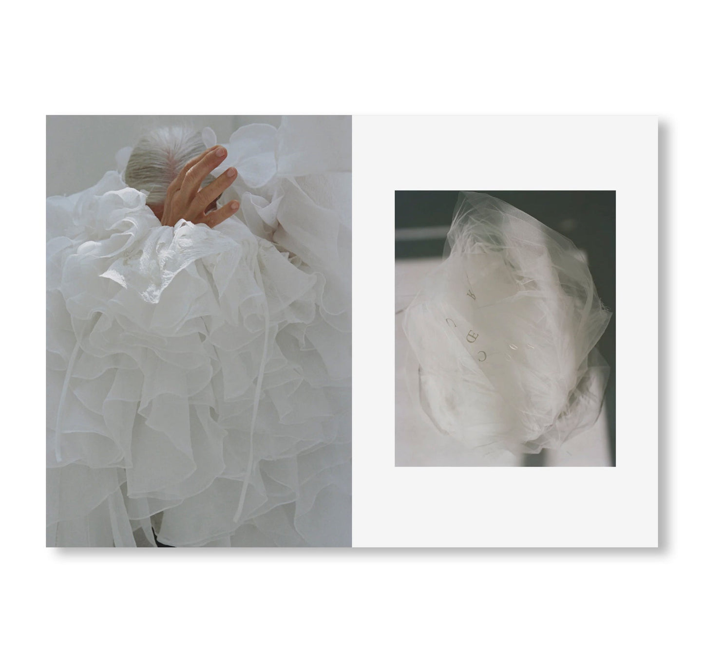 STUDY MAGAZINE VOLUME 12