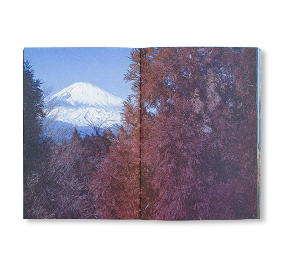 FUJI
