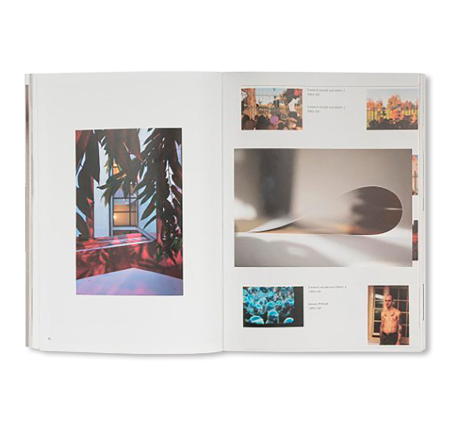 WOLFGANG TILLMANS: THINGS MATTER, DINGE ZÄHLEN