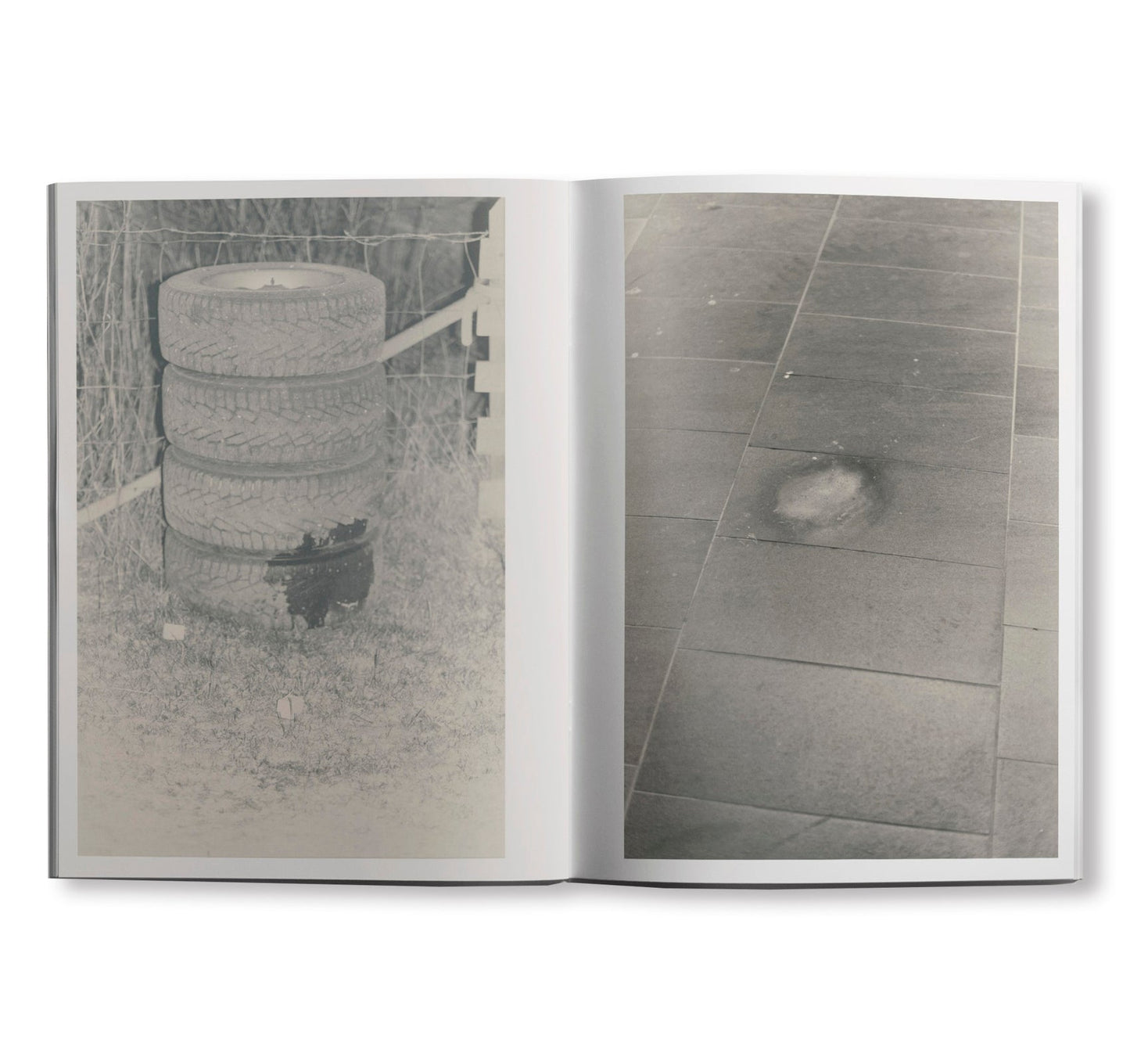 [SIGNED] STAINS & ASHES